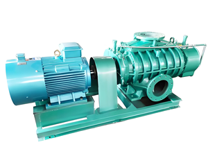 Aireación de Tratamiento de Aguas Residuales de Acoplamiento Directo - Soplador de Raíces de Alta Eficiencia y Bajo Mantenimiento - Product Image 2