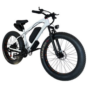 Vélo de montagne électrique de 1000 <span class=keywords><strong>watts</strong></span> en alliage d'aluminium de 26 pouces avec moteur de moyeu arrière à entraînement central pour un voyage facile - Product Image 3