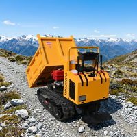 Mini Dumper Cingolato Compatto Cinese 500kg 800kg 1 Tonnellata Diesel 4x4 Telecomandato Multiuso per Silvicoltura e Giardinaggio