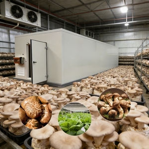 Conteneur <span class=keywords><strong>de</strong></span> <span class=keywords><strong>culture</strong></span> hydroponique <span class=keywords><strong>de</strong></span> champignons <span class=keywords><strong>de</strong></span> grande taille à haut rendement pour usage domestique et commercial, <span class=keywords><strong>chambre</strong></span> <span class=keywords><strong>de</strong></span> fungiculture professionnelle - Product Image 1