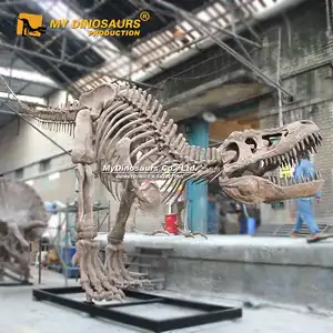 MY DINO-ديناصور فيست تيرانوصور ريكس للبيع