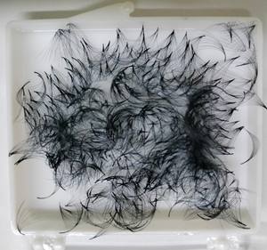 Extensiones de Pestañas Nhu Y Eyelash NY12D Hechas a Mano, Volumen Completo 12D, Fácil Aplicación, Grosor de 0.05mm, Uso en Salón de Belleza, Sintéticas - Product Image 1