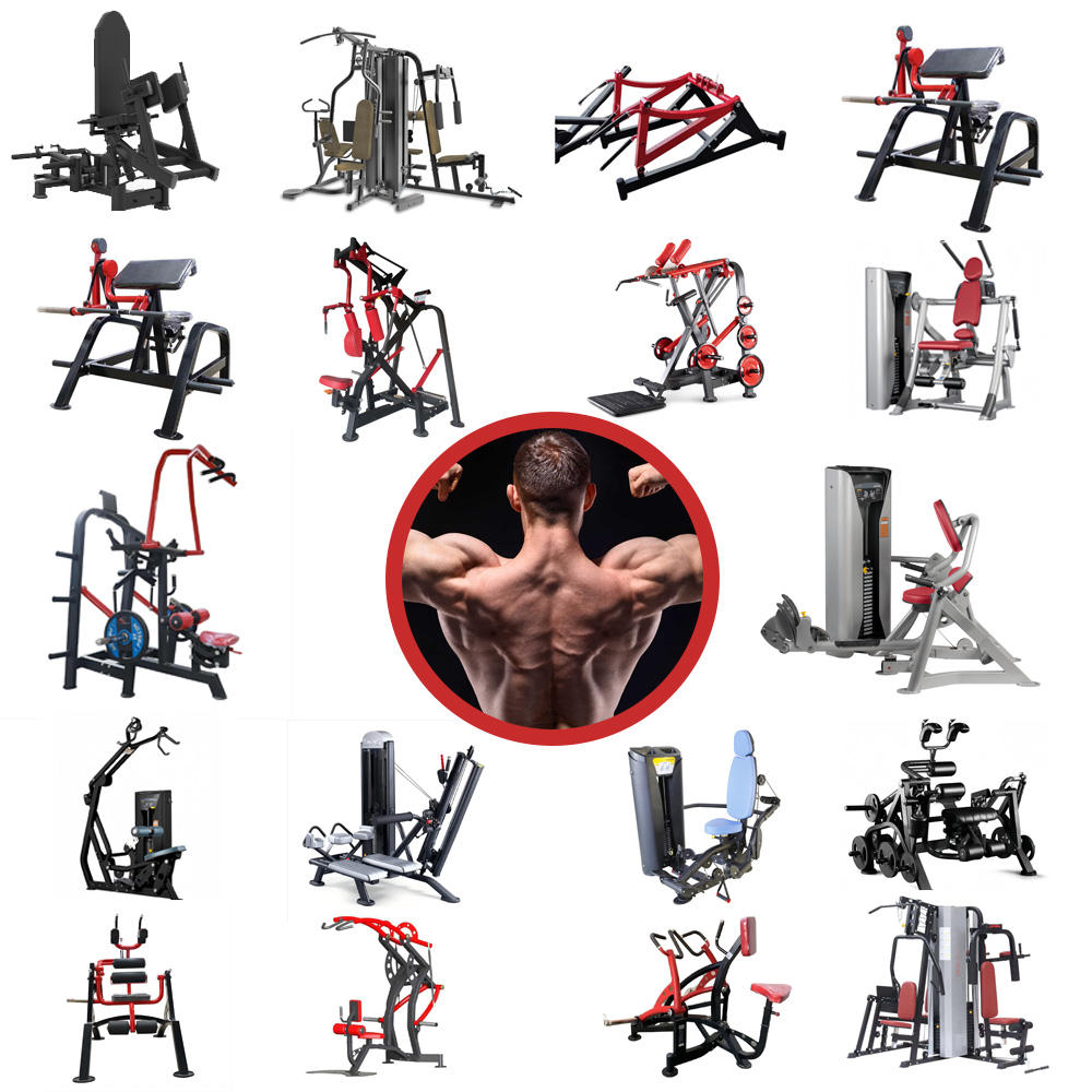 Old Gym Equipment Sale Durable Versatile Solutions