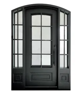 Porte simple en fer forgé 42x96 noir mat à dessus arqué en verre clair à faible émissivité avec deux feux latéraux