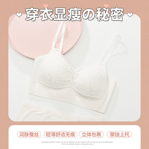 Soutien-gorge en dentelle sexy brodé, lingerie confortable en nylon, best-seller - Product Image 3