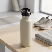 Bouteille d'eau personnalisable en acier inoxydable 304 avec couvercle à paille rabattable en PP, plusieurs capacités, OEM, ODM, logo, emballage