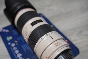 เลนส์เทเลโฟโต้ระดับมืออาชีพ Canon EF 70-200mm f/2.8L IS II USM สำหรับถ่ายภาพสัตว์ป่าและธรรมชาติ - Product Image 2