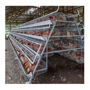 Animal Husbandry Chicken Cage Equipment For Poultry Farm