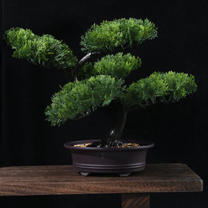 Bonsai di Pino Realistico per Ingresso Soggiorno, Decorazione Mobile TV, Pianta in Vaso Simulata - Product Image 6