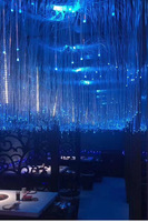Kits de lumière de décoration à fibre optique LED commerciaux pour les décorations de restaurant et de festival de boîte de nuit