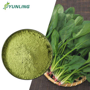 توريد المصنع العلامة التجارية الخاصة السائبة العضوية الطبيعية مسحوق عصير السبانخ النقي مسحوق الخضار والفواكه الشركة المصنعة - Product Image 1