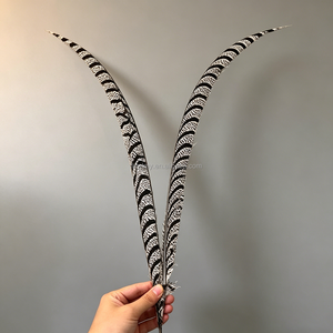 Plumes de faisan naturelles à longue queue pour costumes de carnaval, décoration intérieure, coiffes de mariage et centres de table pour vases. - Product Image 5