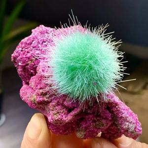 Vente en gros de spécimens minéraux de haute qualité : pierre de cristal, rubis, zéolite, quartz, azurite pour la décoration intérieure et les cadeaux d'anniversaire - Product Image 4