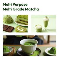 Poudre Matcha Vanille Biologique Premium en Vrac de Marque Privée pour Pâtisserie et Boissons Conditionnée en Boîte de Sachet Bouteille