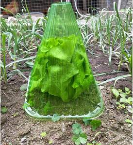 Offre Spéciale 10/20 pièces Cloches de jardin réutilisables cloche pot plantes couvertures Protection contre le <span class=keywords><strong>soleil</strong></span> gel escargots dôme en plastique couverture de plante - Product Image 4