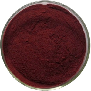 Polvo de Aristotelia Chilensis 100% Natural de Grado Alimenticio GMP de Alta Calidad, Extracto de <span class=keywords><strong>Maqui</strong></span> Berry Soluble en Agua, Envasado al Vacío en Tambor - Product Image 1