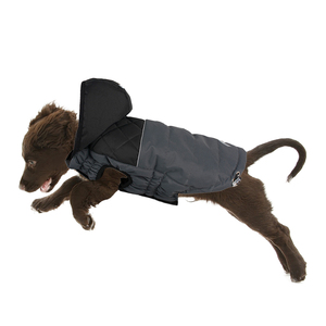 Fabricante al por mayor logotipo personalizado accesorios para mascotas ropa para perros con sombrero - Product Image 2