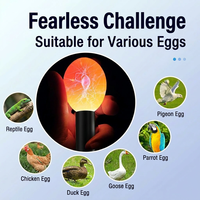 Lampe de test d'œufs portable à LED, lampe torche pour œufs de reptiles, poulets, canards, oiseaux, incubateur, lampe ultra-lumineuse