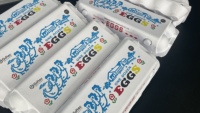 Giftec Single Pass Inkjetprinter Hoge Snelheid CMYK Kleuren Eierdoos & Kartonnen Doos Printmachine