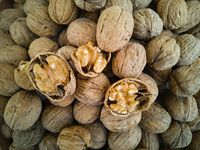 Séchoir à pompe à chaleur en acier inoxydable pour la déshydratation des fruits, légumes, gingembre, feuilles de moringa et poisson avec pompe