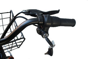 Scooters électriques tricycles électriques ebike vélo cargo électrique vélo électrique <span class=keywords><strong>lopifit</strong></span> vélo vélo de montagne pas cher - Product Image 5