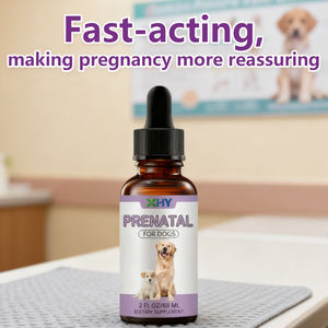 फोलिक एसिड शाकाहारी सूत्र के साथ प्राकृतिक विटामिन पूरक शिशु बूंदें कुत्ते के लिए स्वास्थ्य का समर्थन करता है - Product Image 6