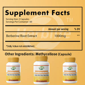 Venta Caliente OEM - Personalizable - Berberina 500mg (1000mg por Porción) para Apoyar la Función Inmunológica Saludable - Product Image 2