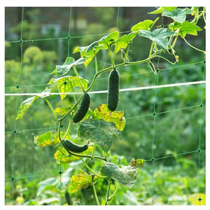 Rete di supporto per piante Huike bianca da 6 pollici con bordo <span class=keywords><strong>a</strong></span> griglia <span class=keywords><strong>a</strong></span> doppia rinforzatura, robusta e durevole - Product Image 4