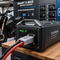 Câble de raccordement personnalisé 50A à fiche blindée 2 broches, faisceau de câblage robuste 600V CC pour onduleur solaire et pack de batteries AGV