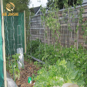 Fil d'acier lourd de 1,5 m de long pour le soutien des piquets en spirale de culture des haricots grimpants - Product Image 3