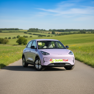 Geely <span class=keywords><strong>Galaxy</strong></span> Star Wish Edición Juvenil 310km - Product Image 3