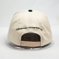 Casquette de baseball snapback à visière plate personnalisée, thème tropical, pour activités extérieures, avec broderie du logo de l'équipe/du club, design 5 panneaux ajustable