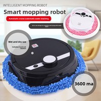 Robot Pel Pintar Bebas Genggam, Dapat Diisi Ulang, Otomatis Penuh, Peralatan Rumah Tangga, Daya Tahan Lebih Dari 3 Jam, Mesin Pembersih Lantai 50W