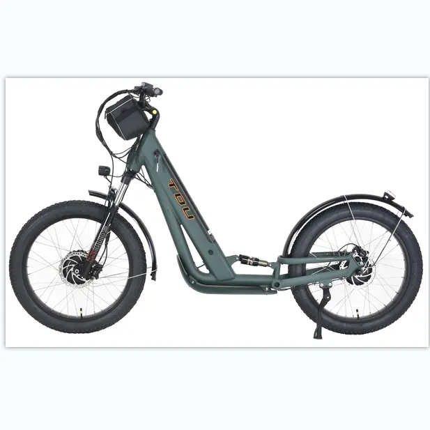 Motor 750w duplo 48v 17.5a scooters elétricos fabricante preço e enviar diretamente