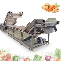 Groentewasmachine met luchtbellen / Fruitwasmachine met watercirculatie