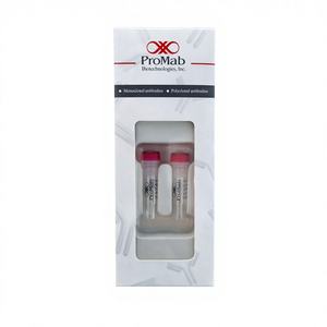 Anticuerpo Monoclonal de Ratón a Alfa Actina Muscular Lisa 50ul Marca Promabio Modelo 30162 -20 Almacenamiento con Valididad de 12 Meses - Product Image 4