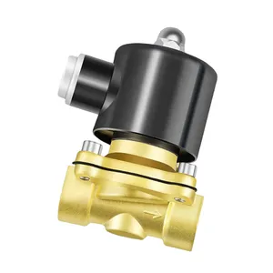 2W200-20 DN15 G1/2" AC220V DC24V 1 Way Normally Closed NC Brass Air Oil Valve Control Switch Solenoid Water Valve