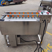 Machine de nettoyage et de traitement de la canne à sucre à brosse