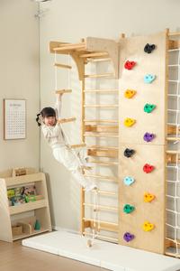 在庫あり 工場卸売 9-in-1 室内遊具 複数タイプ 楽しいクライミングフレーム 子供用ロッククライミングウォール - Product Image 5