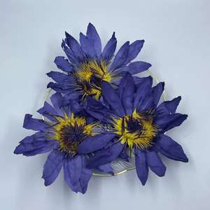 Flores de Loto Azul Orgánicas Secas - Product Image 3