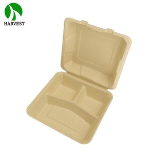 Contenedor Desechable Biodegradable de Pulpa de Bambú de 8 Pulgadas Cuadradas para Comida para Llevar con Relieve - Product Image 4