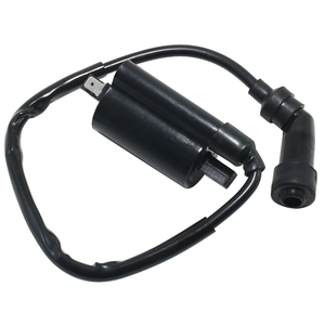 Bobine d'allumage de vtt bobine d'allumage de démarreur de moteur FBT pour <span class=keywords><strong>Suzuki</strong></span> anan250 AN400 Burgman Skywave 250 <span class=keywords><strong>400</strong></span> - Product Image 3