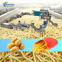 Ligne de production automatique de frites et de chips Shepody personnalisée 1000 kg/h, machine à faire des frites en acier inoxydable 304