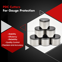 Fraiseuses PDC Premium Drillsoltek 2026 pour la protection des jauges |   Outils de forage pour l'exploitation minière du charbon, fraises diamantées OEM