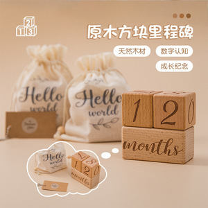 Solid Wood Milestone Blocks Beech Monthly Growth <b>Display</b> Photo Props - Product Image 1