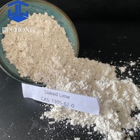 Chaux calcaire industrielle en vrac, pureté 95%, hydroxyde de calcium, granulométrie 200 mesh, certification ISO9001 pour les eaux usées