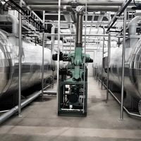Automatische vacuümvriesdroger voor commercieel fruit, groenten, aardbeien, lyofilisator voor dierenvoer, droogmachine voor lage temperaturen