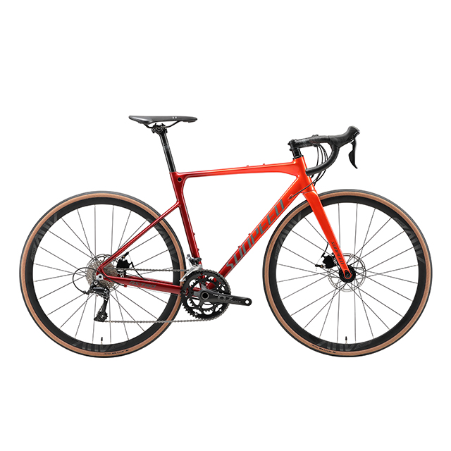 Sport Fashion Carbon Road Bike SUNPEED ASTRO - 18 Speed