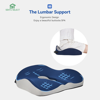 Coussin de siège ergonomique pour voiture et chaises de bureau, respirant et confortable, offre un soutien lombaire et soulage la douleur