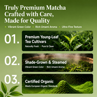 Poudre de Matcha Bio de Qualité Supérieure Vert Intense pour Boisson Directe et Infusion à Froid Certifiée USDA et UE – Sachet en Vrac OMT02B